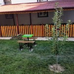 shahmat2