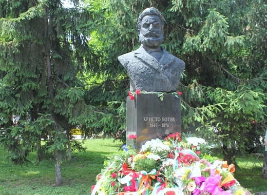 medium_Плевен-7